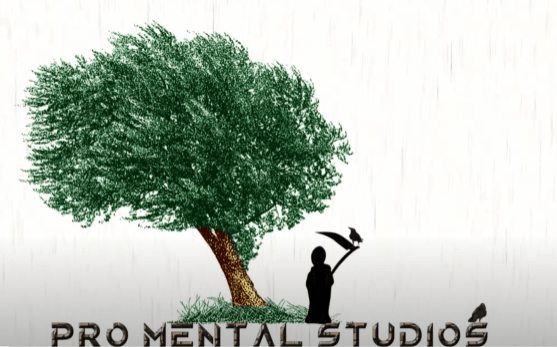 Pro Mental Studios